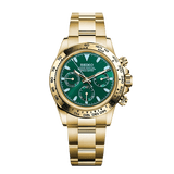 Daytona Gold - Green